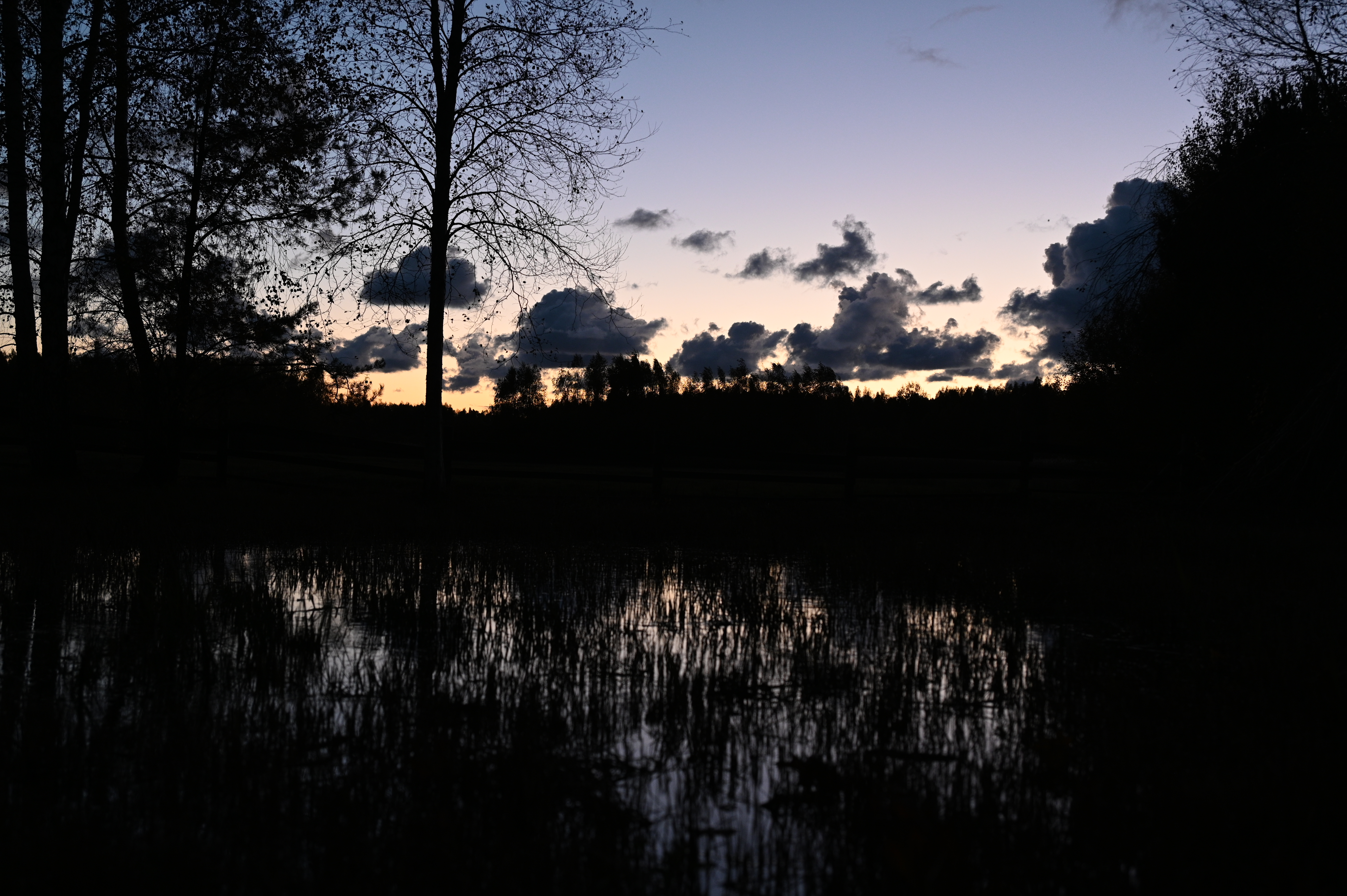 2025/10/18 - walk/DSC_0653.JPG